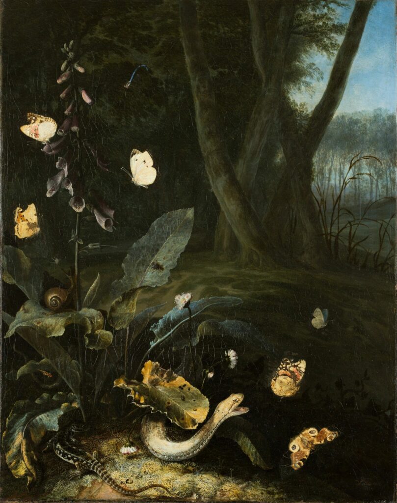Waldstillleben mit Reptilien und Insekten